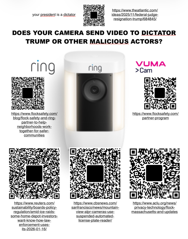 Ring x Flock Partnership