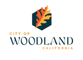 Feb 17 – Woodland City Council – Flock Community Audit + Public Comment